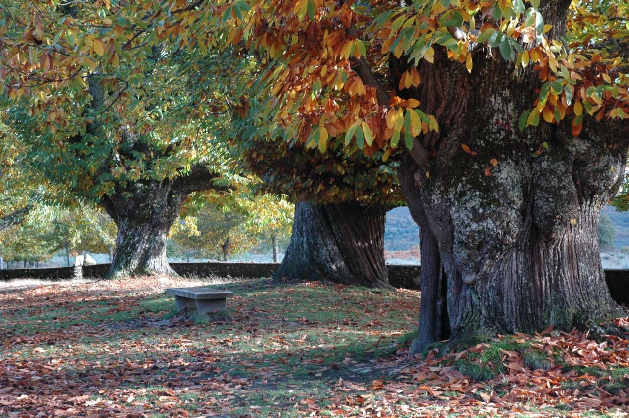 La Era De Sanabria Villa Villarino de Sanabria Екстериор снимка