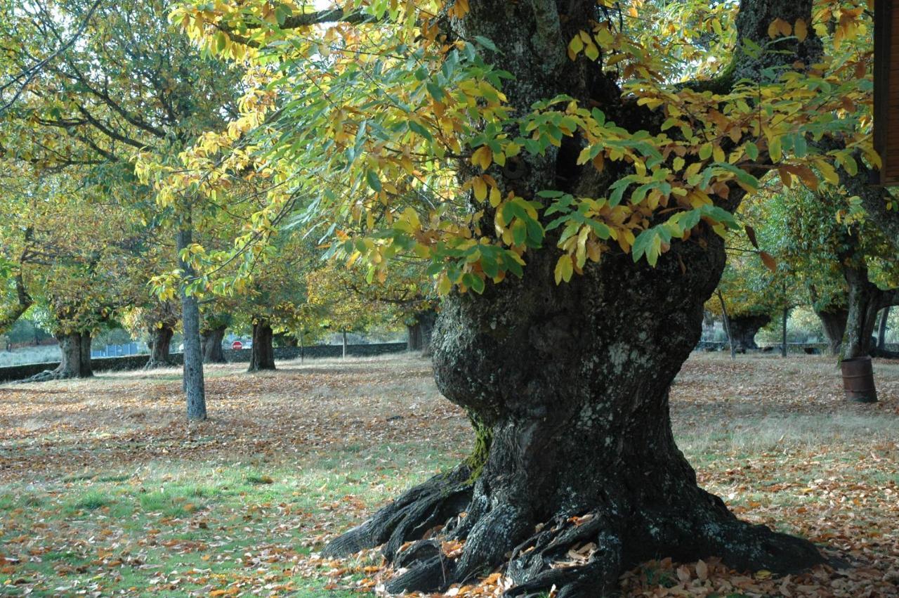 La Era De Sanabria Villa Villarino de Sanabria Екстериор снимка